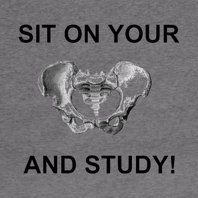 Pelvis study buddy by junimond